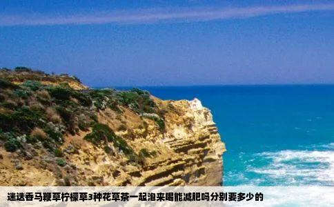 迷迭香马鞭草柠檬草3种花草茶一起泡来喝能减肥吗分别要多少的