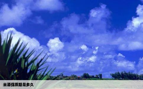 米酒保质期是多久