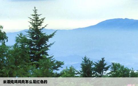米酒炖鸡鸡肉怎么是红色的