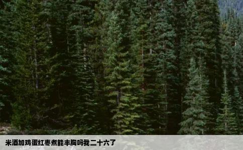 米酒加鸡蛋红枣煮能丰胸吗我二十六了