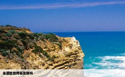 米酒能放烤箱发酵吗