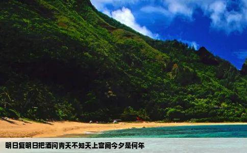 明日复明日把酒问青天不知天上宫阙今夕是何年