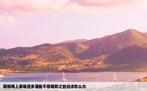 明晚晚上要喝很多酒我不想喝醉之前应该怎么办