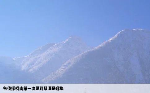 名侦探柯南第一次见到琴酒是哪集