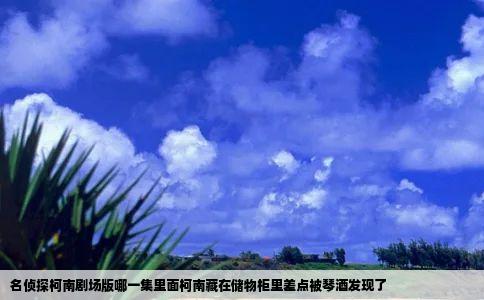 名侦探柯南剧场版哪一集里面柯南藏在储物柜里差点被琴酒发现了