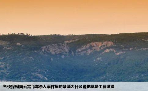 名侦探柯南云霄飞车杀人事件里的琴酒为什么说他就是工藤没错