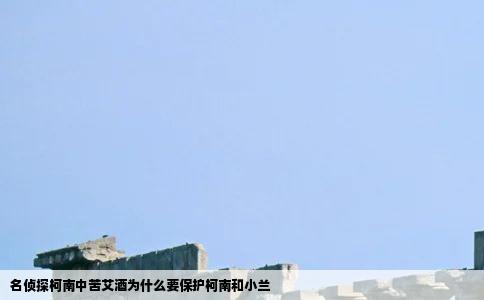 名侦探柯南中苦艾酒为什么要保护柯南和小兰