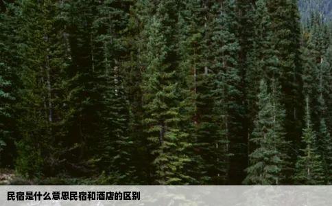 民宿是什么意思民宿和酒店的区别