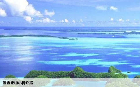 蜜香正山小种介绍