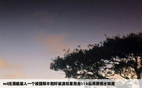 ml纯酒精装入一个玻璃瓶中刚好装满如果用去110后用蒸馏水加满