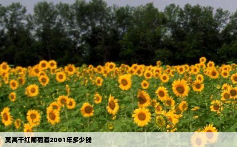 莫高干红葡萄酒2001年多少钱