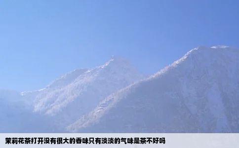 茉莉花茶打开没有很大的香味只有淡淡的气味是茶不好吗