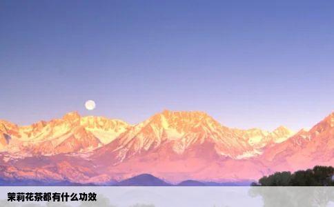 茉莉花茶都有什么功效