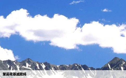 茉莉花茶减肥吗