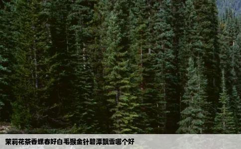 茉莉花茶香螺春好白毛猴金针碧潭飘雪哪个好