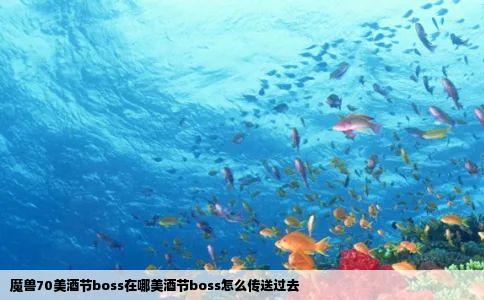 魔兽70美酒节boss在哪美酒节boss怎么传送过去