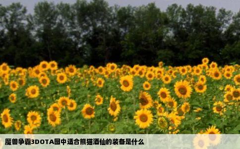 魔兽争霸3DOTA图中适合熊猫酒仙的装备是什么