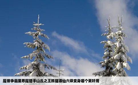 魔兽争霸里恶魔猎手山丘之王熊猫酒仙六级变身哪个更好用