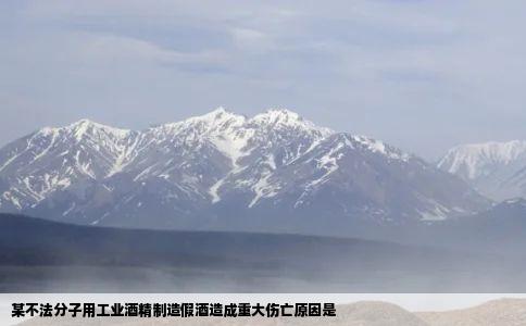 某不法分子用工业酒精制造假酒造成重大伤亡原因是