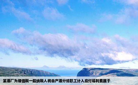 某酒厂为增值税一般纳税人将自产酒分给职工计入应付福利费属于