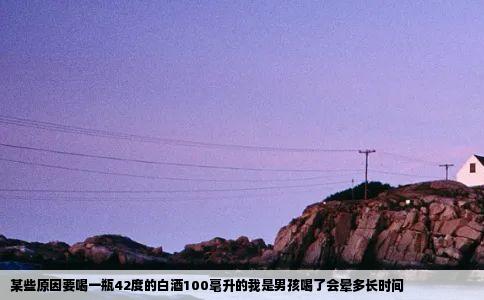 某些原因要喝一瓶42度的白酒100毫升的我是男孩喝了会晕多长时间