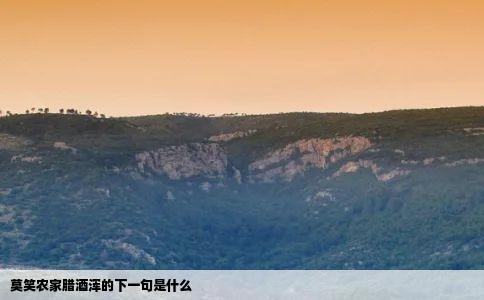 莫笑农家腊酒浑的下一句是什么