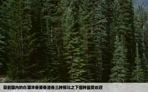 目前国内的白酒浓香酱香清香三种相比之下哪种最受欢迎