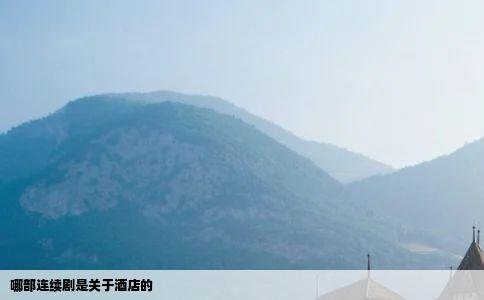 哪部连续剧是关于酒店的