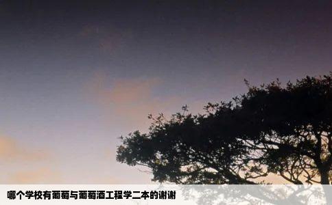 哪个学校有葡萄与葡萄酒工程学二本的谢谢