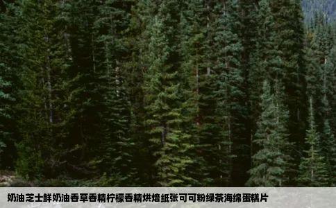 奶油芝士鲜奶油香草香精柠檬香精烘焙纸张可可粉绿茶海绵蛋糕片