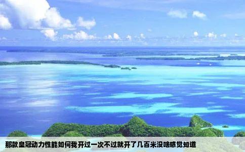 那款皇冠动力性能如何我开过一次不过就开了几百米没啥感觉知道