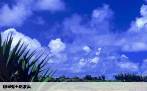 哪里有五粮液卖