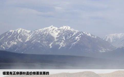 哪里有正宗茶叶卖价格要实惠的