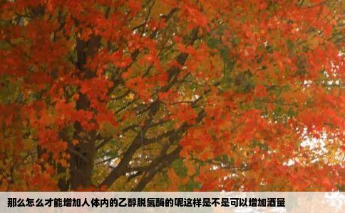 那么怎么才能增加人体内的乙醇脱氢酶的呢这样是不是可以增加酒量