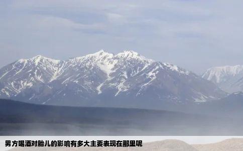 男方喝酒对胎儿的影响有多大主要表现在那里呢