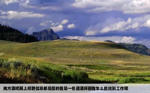 南方酒吧网上招聘信息都是假的我是一名调酒师那我怎么能找到工作呢