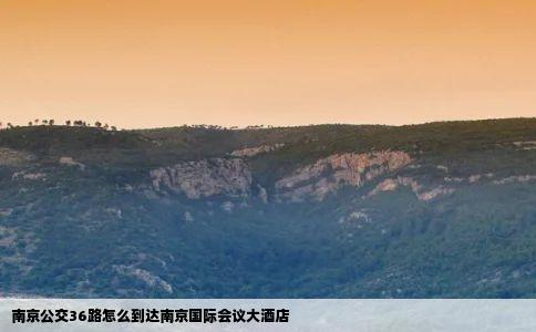南京公交36路怎么到达南京国际会议大酒店