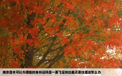 南京周木可以办理临时身份证吗周一要飞深圳出差还要住酒店怎么办