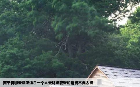 南宁有哪些酒吧适合一个人去环境较好的消费不要太贵