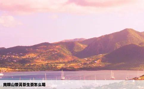 南糯山普洱茶生茶怎么喝