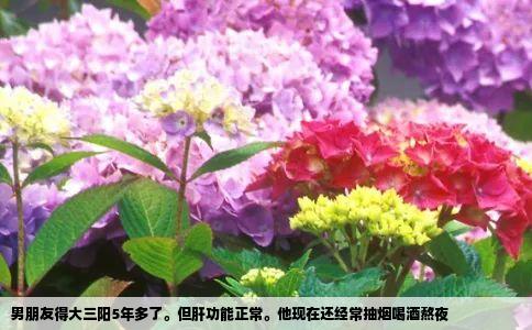 男朋友得大三阳5年多了。但肝功能正常。他现在还经常抽烟喝酒熬夜