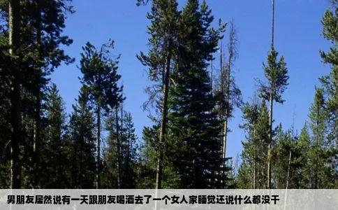 男朋友居然说有一天跟朋友喝酒去了一个女人家睡觉还说什么都没干