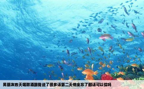 男朋友昨天喝醉酒跟我说了很多话第二天他全忘了那话可以信吗