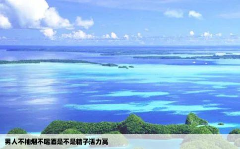 男人不抽烟不喝酒是不是精子活力高