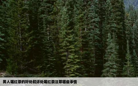 男人喝红茶的好处和坏处喝红茶注意哪些事情