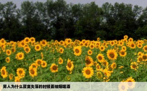 男人为什么寂寞失落的时候要抽烟喝酒