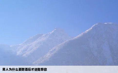 男人为什么要醉酒后才说我想你