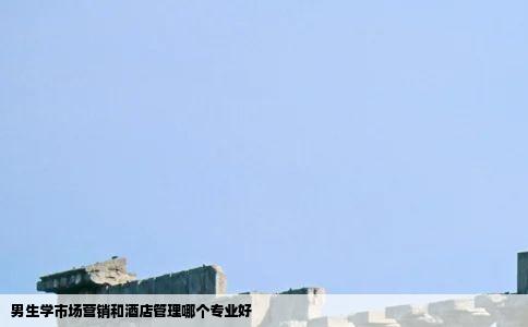男生学市场营销和酒店管理哪个专业好