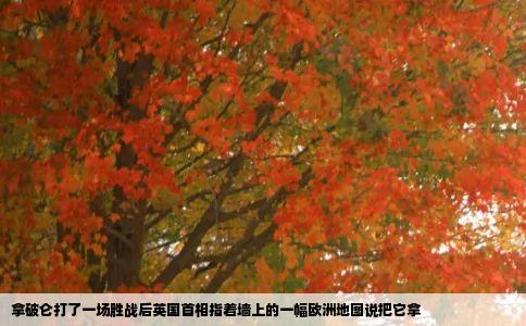 拿破仑打了一场胜战后英国首相指着墙上的一幅欧洲地图说把它拿