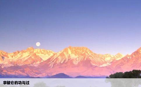 拿破仑的功与过